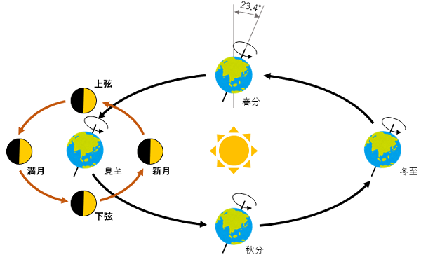fig7