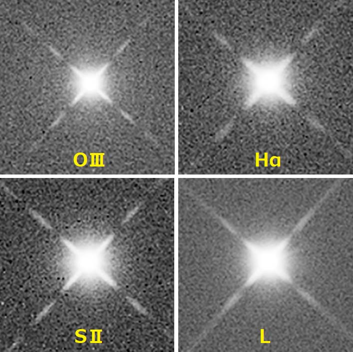 fig6