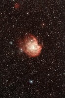 NGC2174(󥭡)