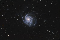 M101