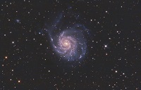 M101