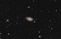 M51