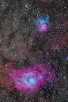 M31