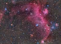 NGC2177
