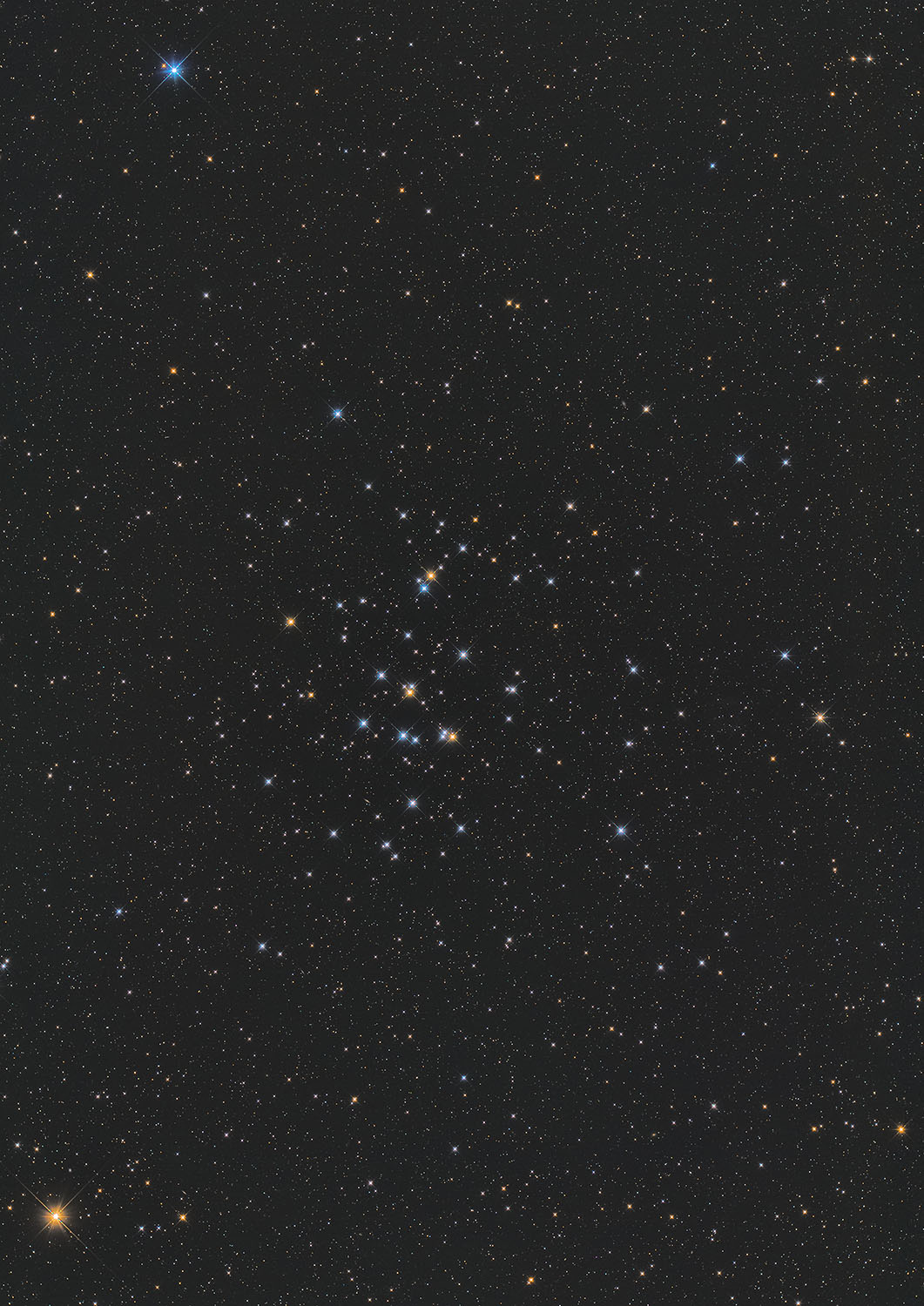 M44-2020/2/24