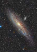 M31