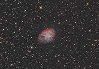 M1