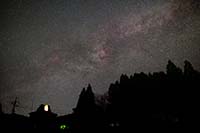 Cygnus