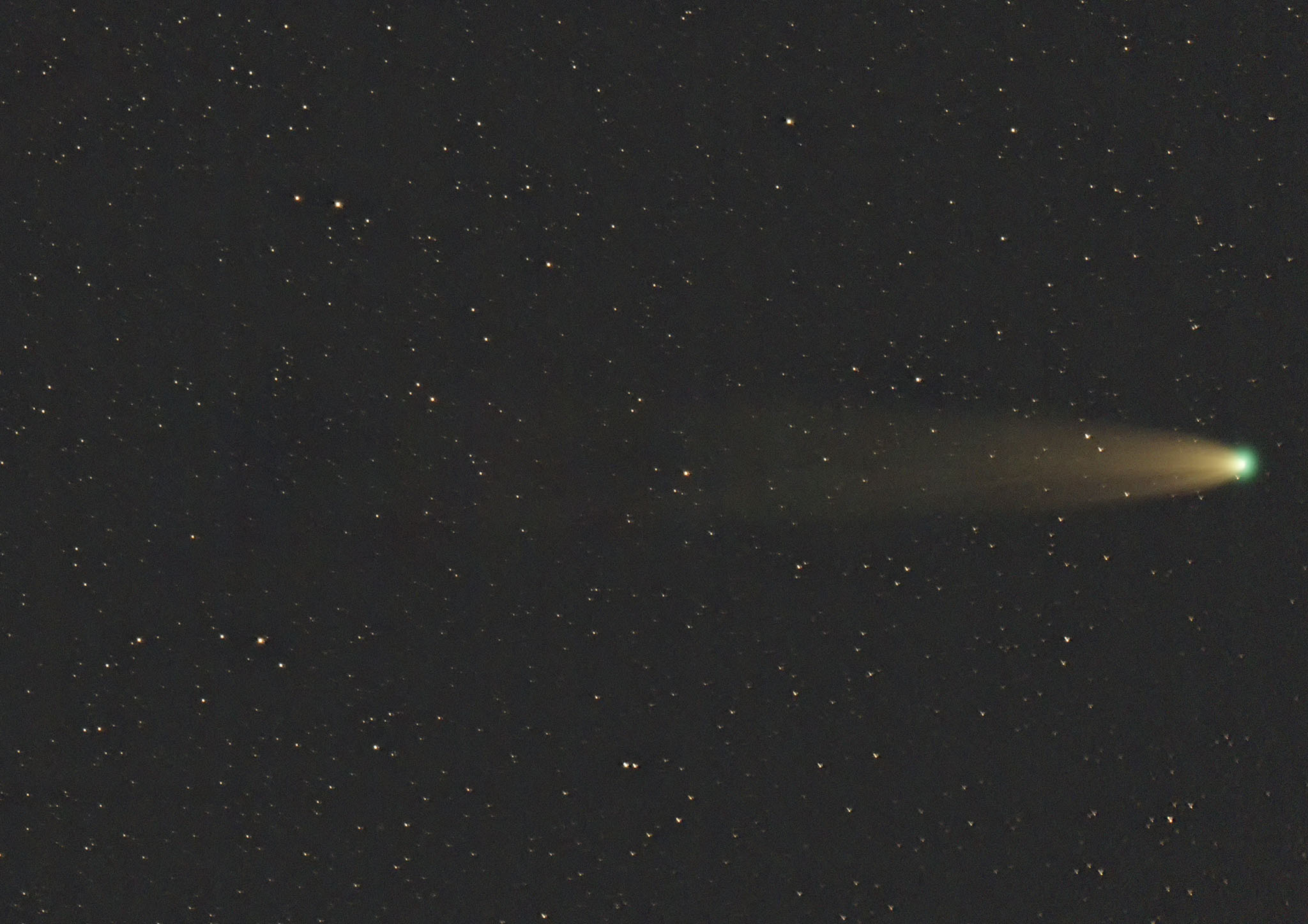 C/2021A1-2021/12/30