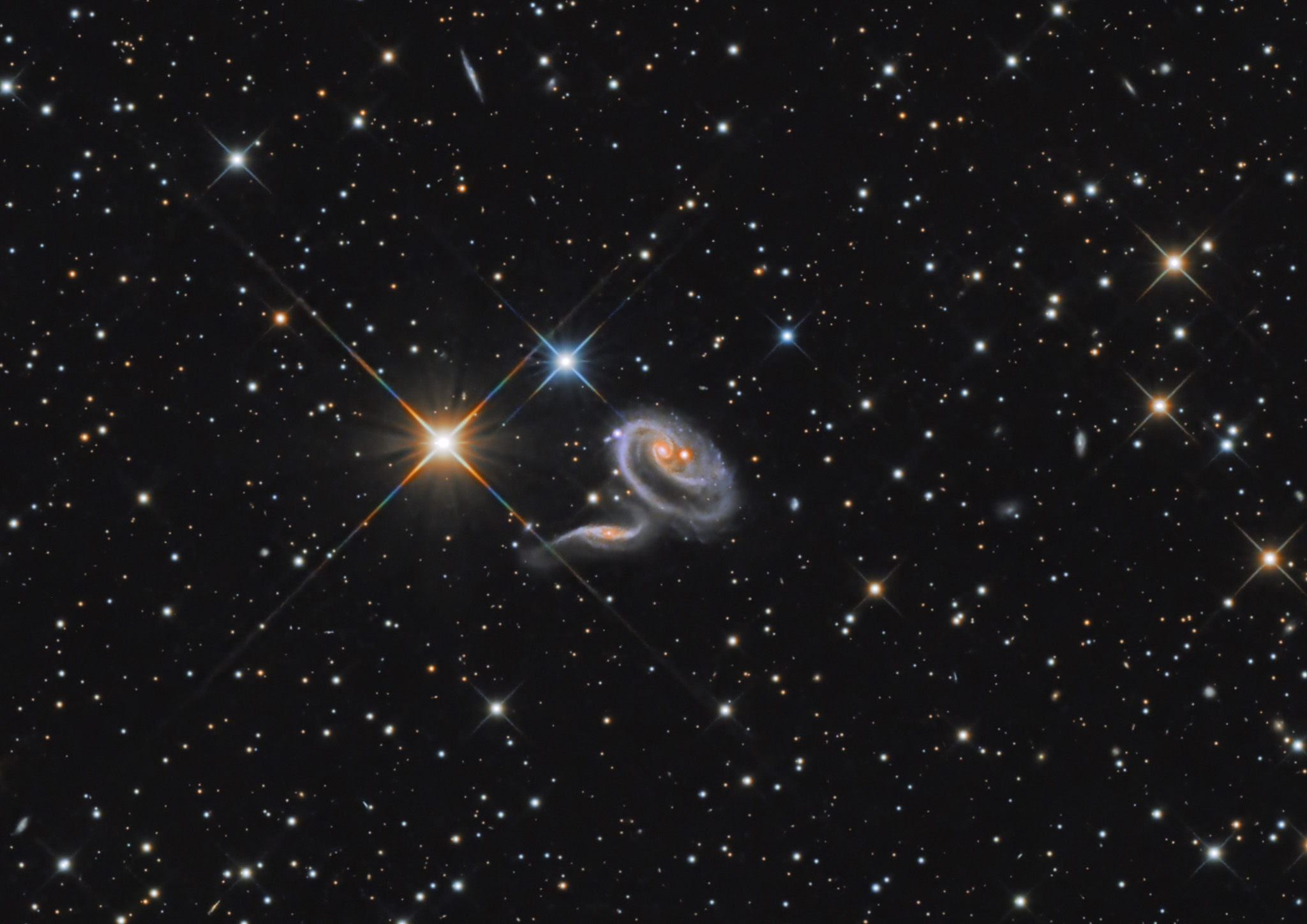 Arp273