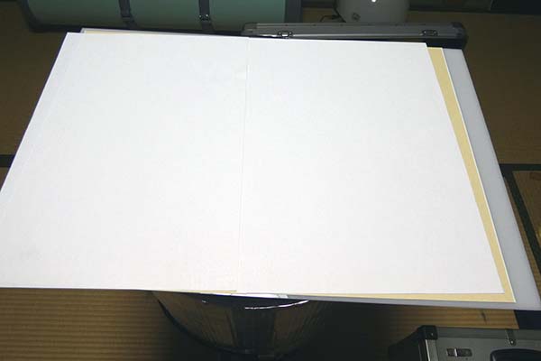 fig5