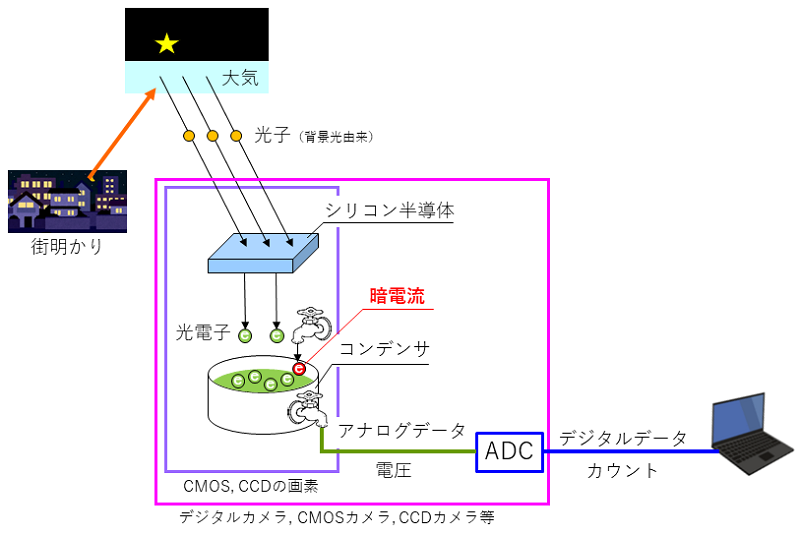 fig8