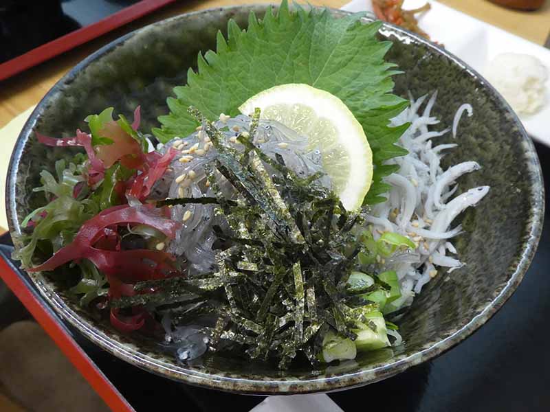 fig_230529_umisachi